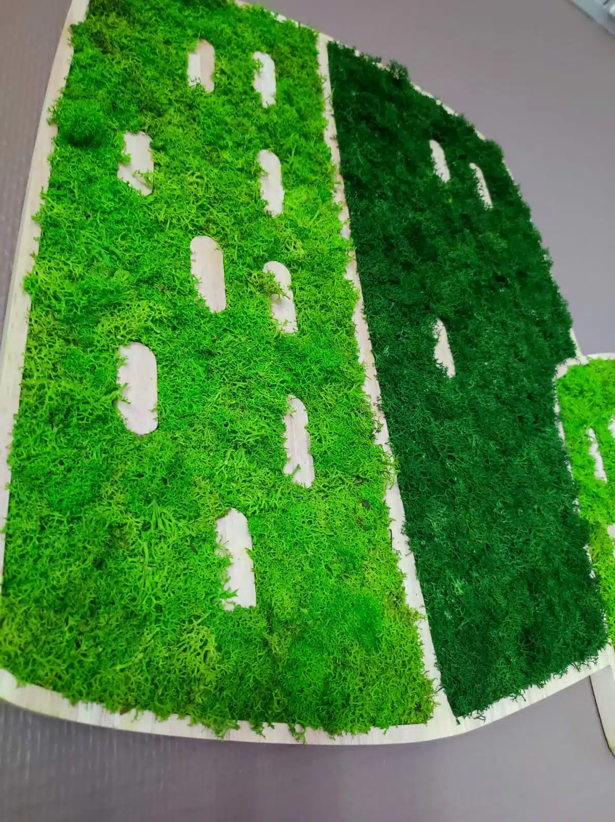 Vue de près logo vegetal servimo lyon